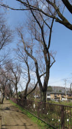 0092_832s200321.jpg