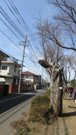 0095_835s200321.jpg