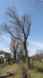 0098_837s200321.jpg