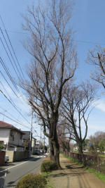 0104_841s200321.jpg