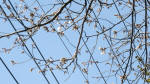 0105_841s200321.jpg