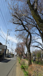 0107_843s200321.jpg