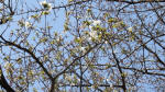 0108_843s200321.jpg