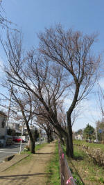 0112_849s200321.jpg