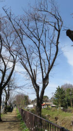 0120_856s200321.jpg