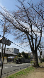 0123_857s200321.jpg