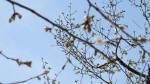 0124_857s200321.jpg