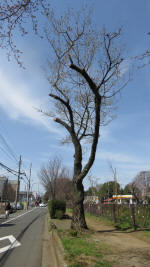 0126_859s200321.jpg