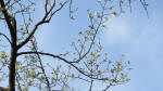 0127_859s200321.jpg