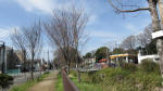 0129_ks39s200321.jpg