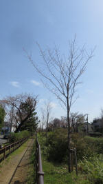 0135_kn31s200321.jpg
