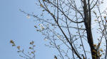 0140_kn32s200321.jpg