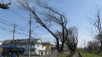 0148_279s200321.jpg