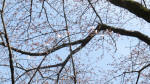 0160_285s200321.jpg