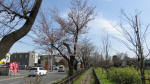0177_297s200321.jpg