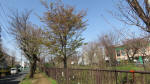 9962_s27s200321.jpg
