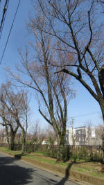 9970_651s200321.jpg