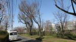 9973_652s200321.jpg