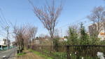 9976_s22s200321.jpg