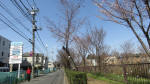9985_657s200321.jpg