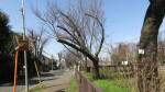 9994_681s200321.jpg