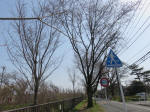 0189_646s200322.jpg