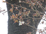 0190_646s200322.jpg