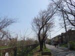 0192_641s200322.jpg