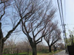 0195_635s200322.jpg