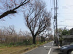 0198_634s200322.jpg