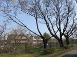 0210_624s200322.jpg