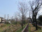 0216_ks36s200322.jpg