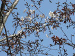 0217_ks36s200322.jpg