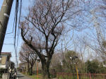 0225_596s200322.jpg