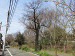 0234_590s200322.jpg