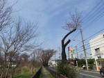 0259_457s200322.jpg