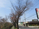 0263_453s200322.jpg