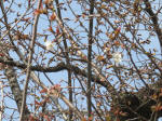 0264_453s200322.jpg