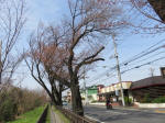 0266_452s200322.jpg