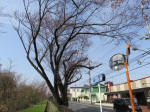 0269_451s200322.jpg