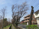 0281_443s200322.jpg
