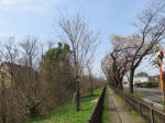 0284_kn19s200322.jpg