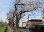 0287_440s200322.jpg