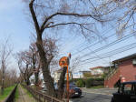 0293_438s200322.jpg