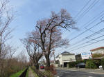 0296_437s200322.jpg