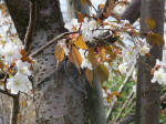 0303_kn12s200322.jpg