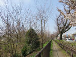 0308_kn11s200322.jpg