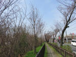 0311_kn9s200322.jpg