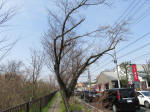 0314_419s200322.jpg