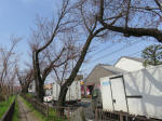 0317_418s200322.jpg